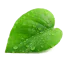 hero_shape_1_1