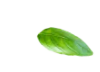 hero_shape_1_2