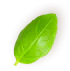 hero_shape_1_3