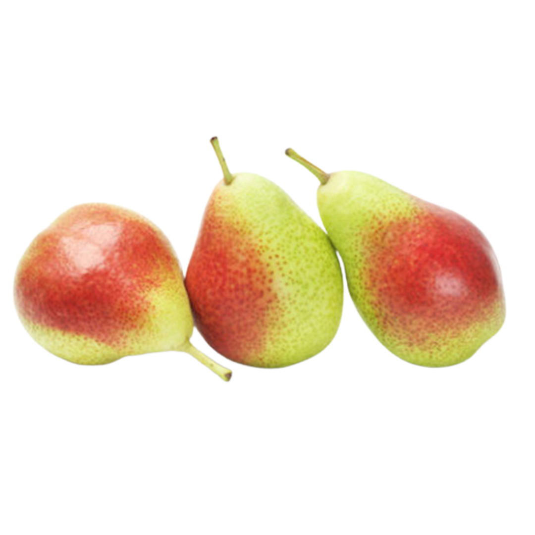 Untitled design (62)