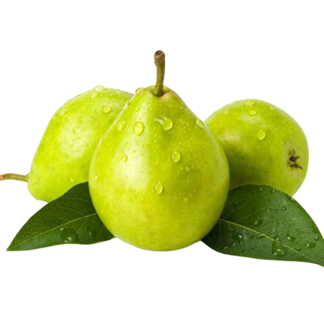 Untitled design (63)