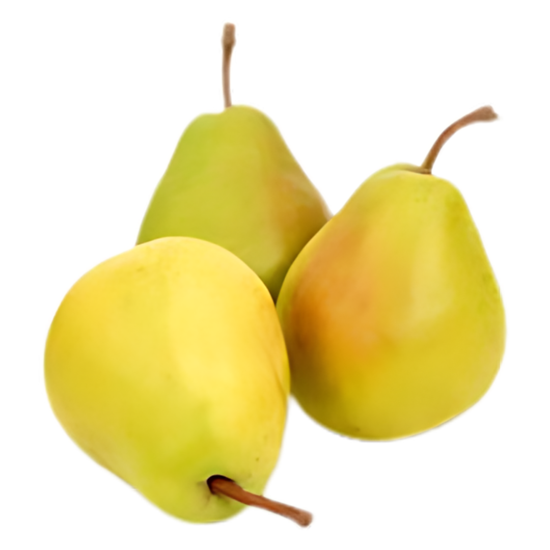 Untitled design (64)