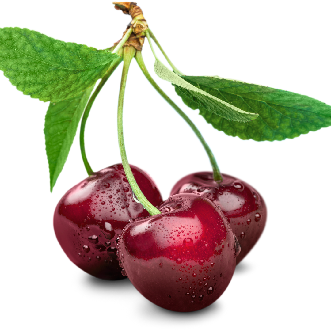 Untitled design (66)