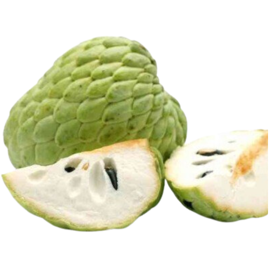 Untitled design (67)