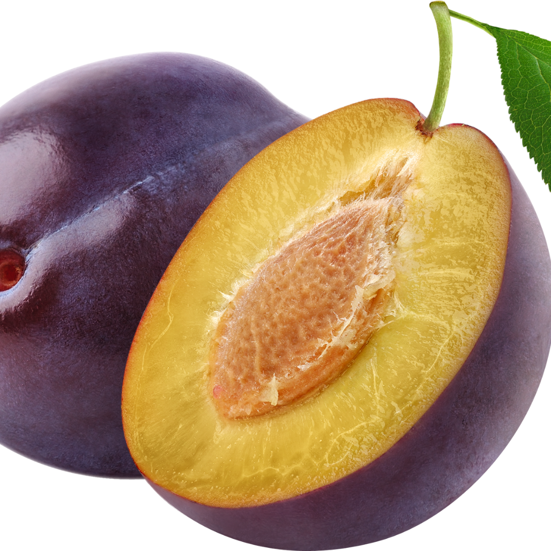 Untitled design (69)