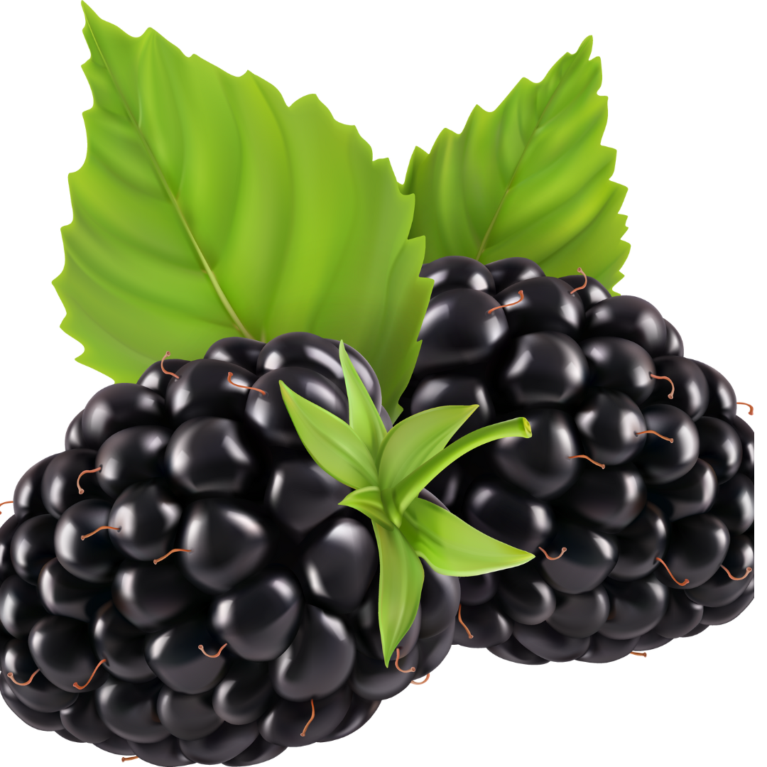 Untitled design (74)