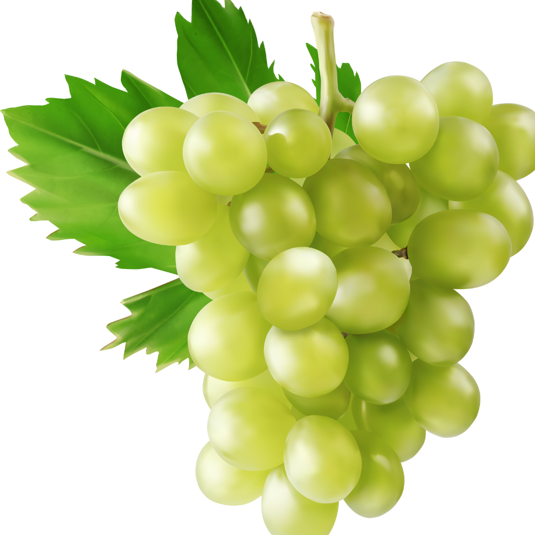 Untitled design (76)