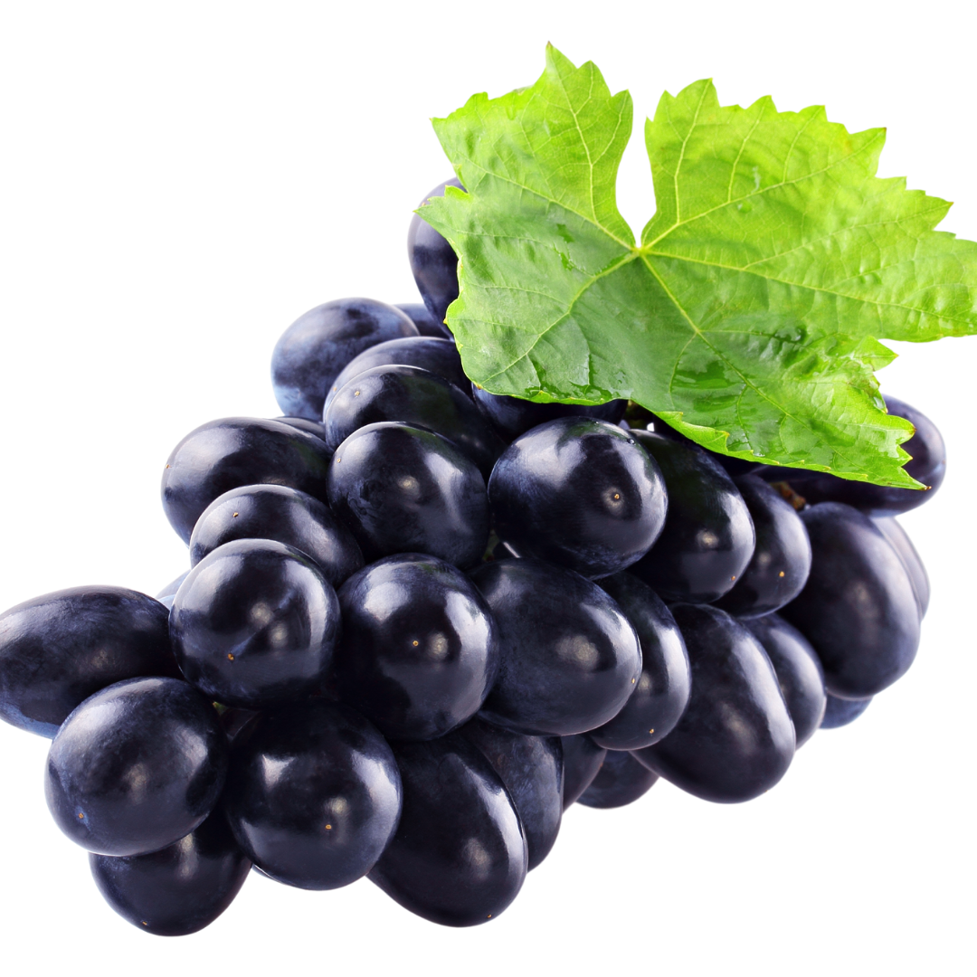 Untitled design (77)