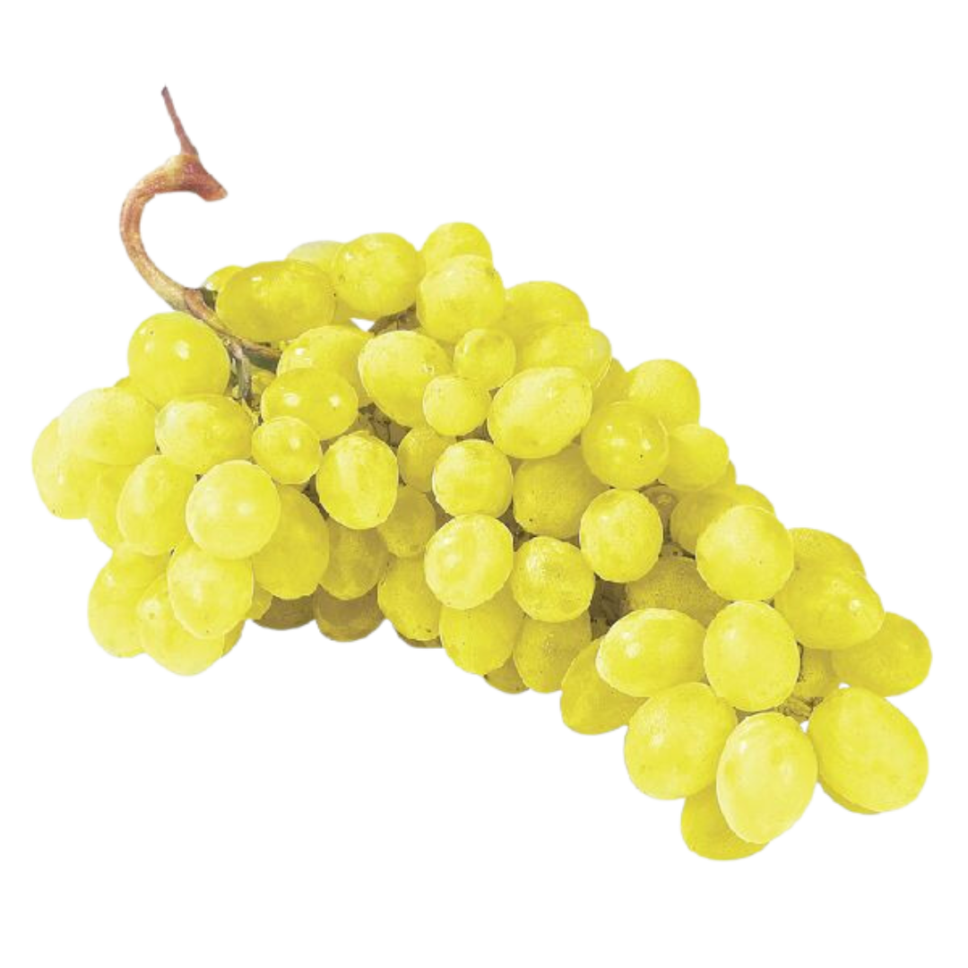 Untitled design (78)