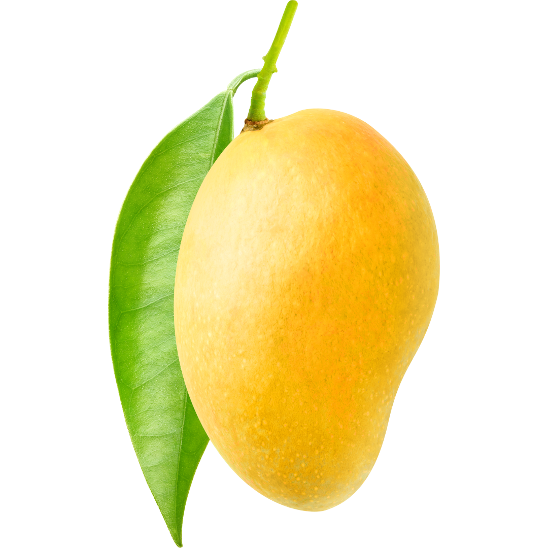 Untitled design (80)