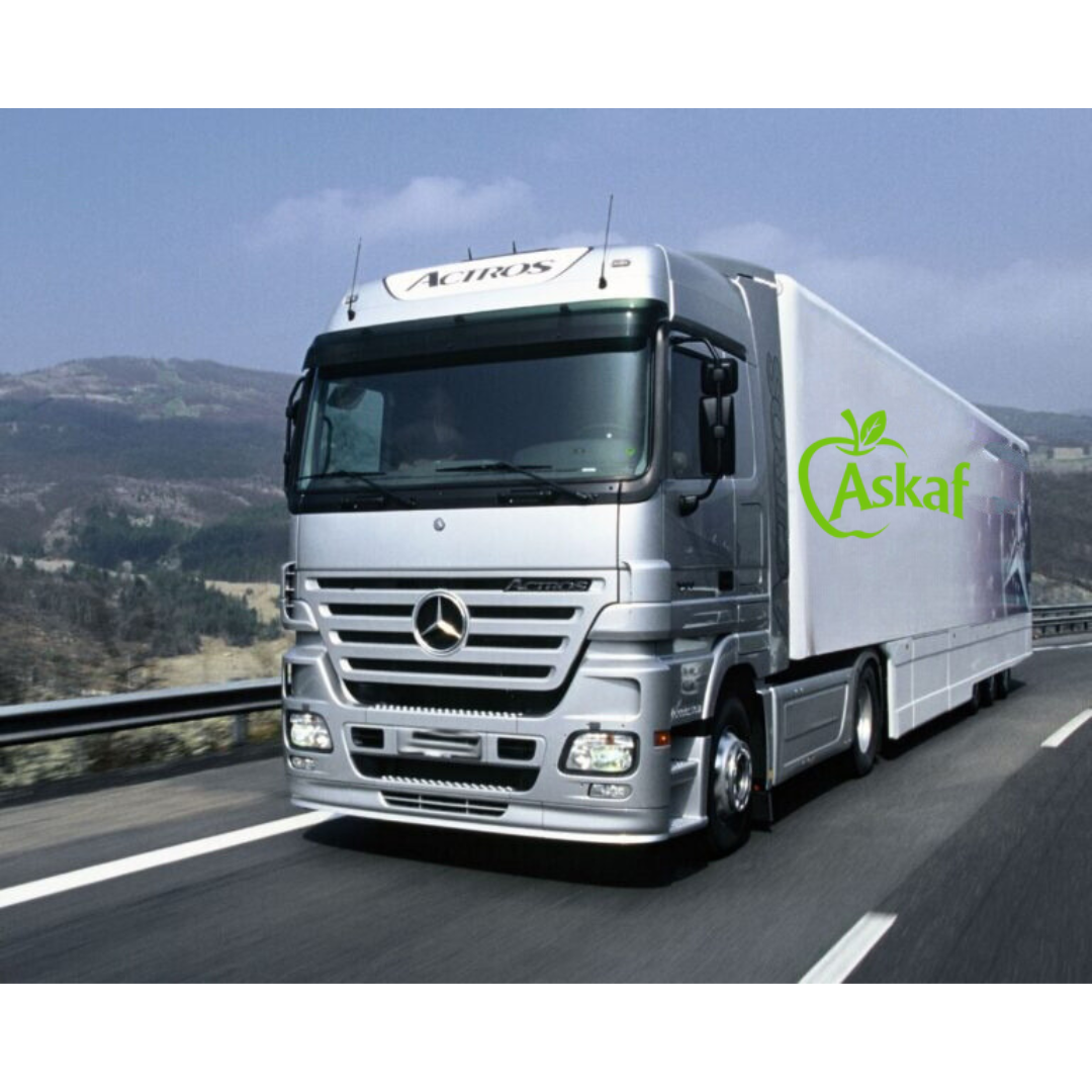 Untitled design (13)